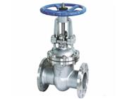 電站專(zhuān)用閥門(mén)