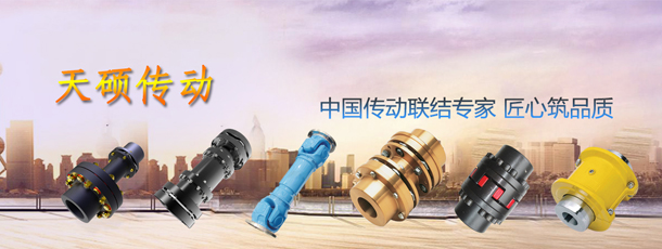 天碩聯(lián)軸器