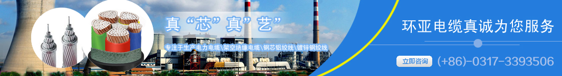 河北環(huán)亞線纜